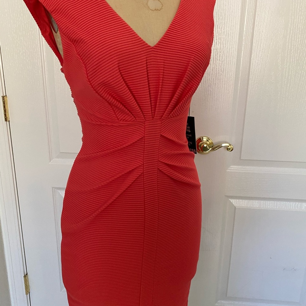 Express Dress - Picture 4 of 7